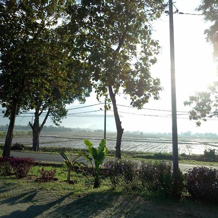 Idul Sunrise View Hotell Pantai Cenang  Exteriör bild